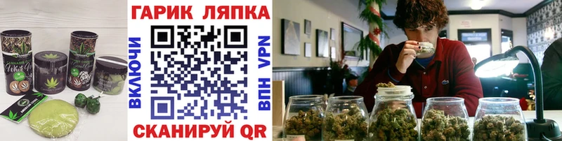 Купить закладки  Абинск  Cannafood марихуана 