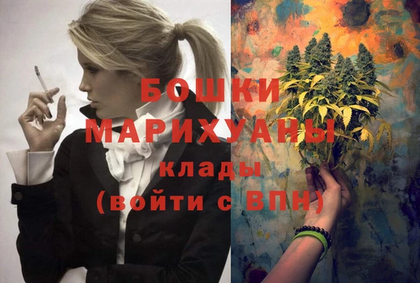 мяу мяу мука Инсар