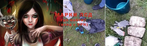 мяу мяу мука Инсар